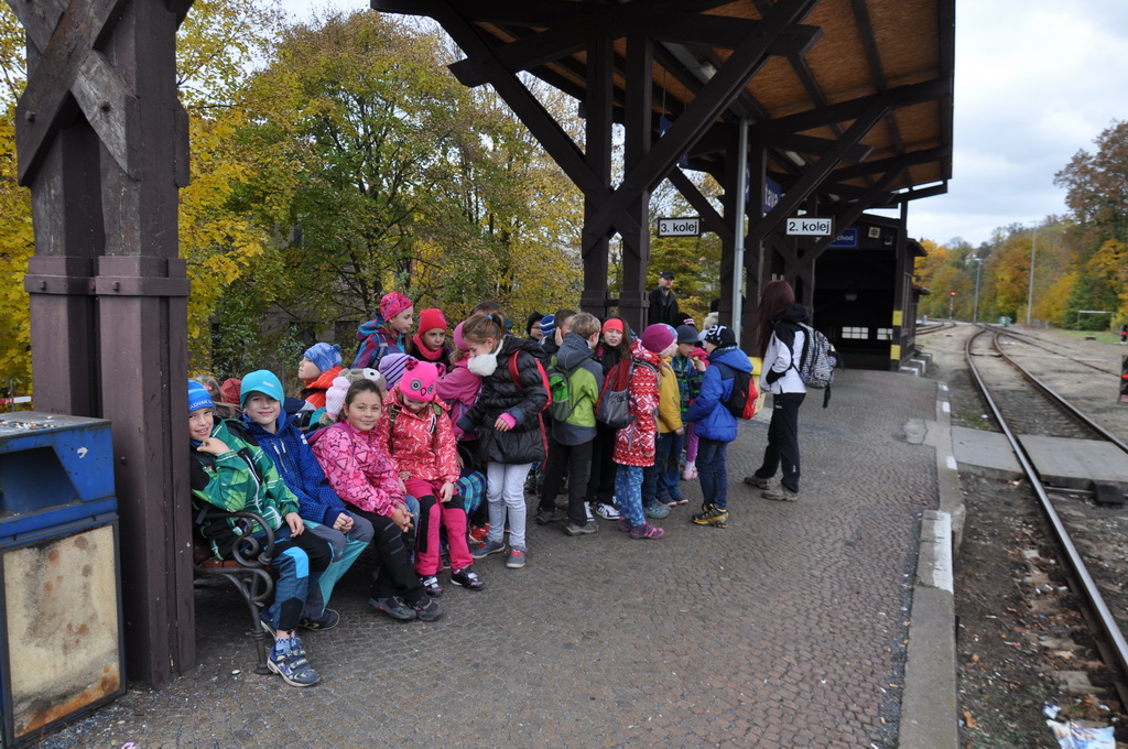 DSC_0523_resize