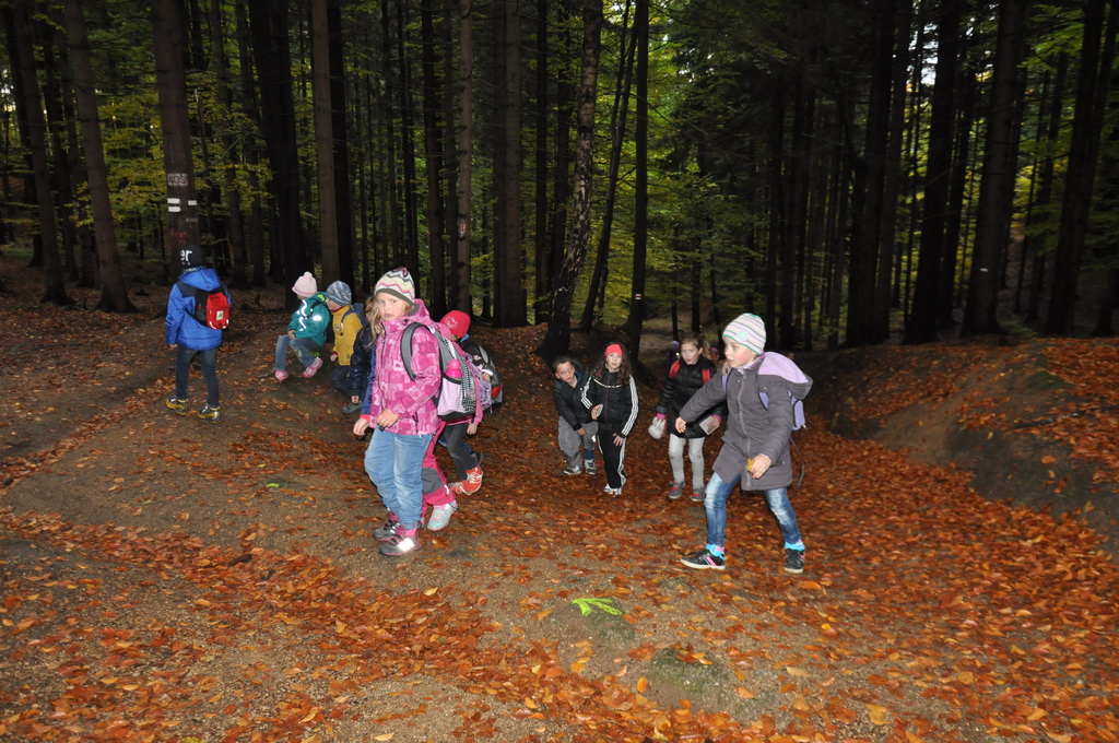 DSC_0548_resize